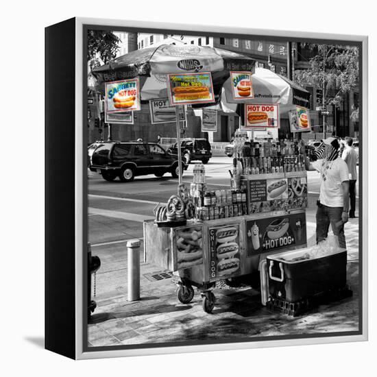Safari CityPop Collection - NYC Hot Dog with Zebra Man II-Philippe Hugonnard-Framed Premier Image Canvas
