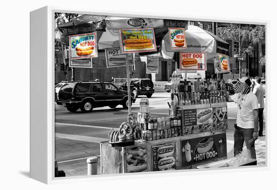 Safari CityPop Collection - NYC Hot Dog with Zebra Man III-Philippe Hugonnard-Framed Premier Image Canvas