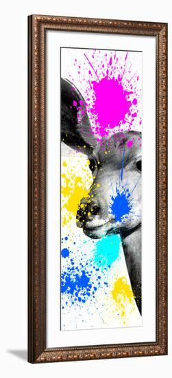 Safari Colors Pop Collection - Antelope II-Philippe Hugonnard-Framed Giclee Print