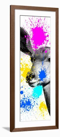 Safari Colors Pop Collection - Antelope II-Philippe Hugonnard-Framed Giclee Print