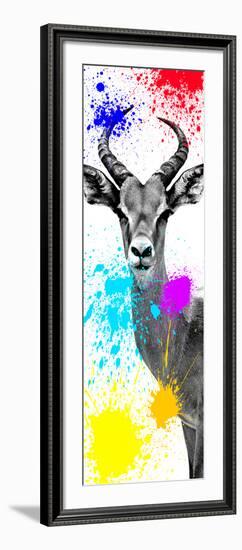 Safari Colors Pop Collection - Antelope Impala II-Philippe Hugonnard-Framed Giclee Print