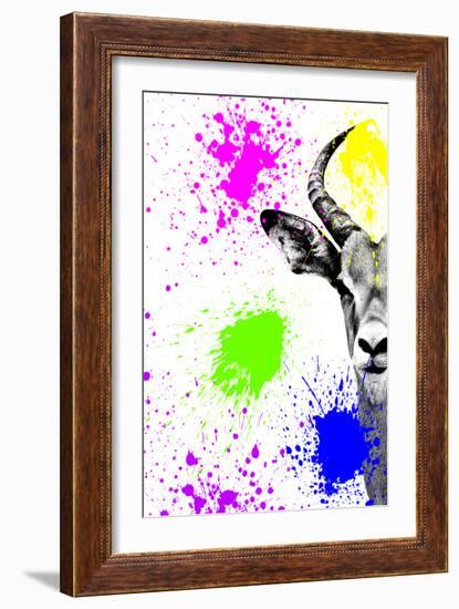 Safari Colors Pop Collection - Antelope Impala Portrait II-Philippe Hugonnard-Framed Giclee Print