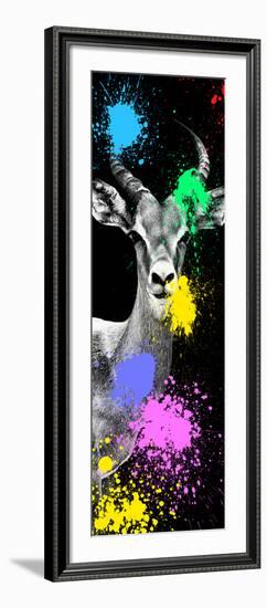 Safari Colors Pop Collection - Antelope Impala Portrait III-Philippe Hugonnard-Framed Giclee Print