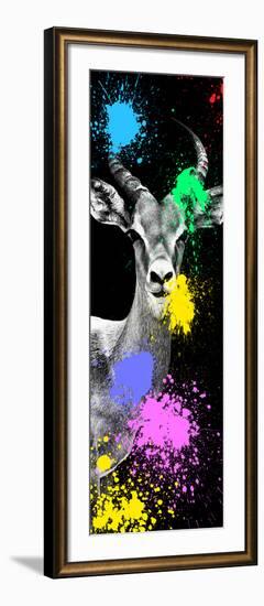 Safari Colors Pop Collection - Antelope Impala Portrait III-Philippe Hugonnard-Framed Giclee Print