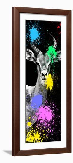 Safari Colors Pop Collection - Antelope Impala Portrait III-Philippe Hugonnard-Framed Giclee Print