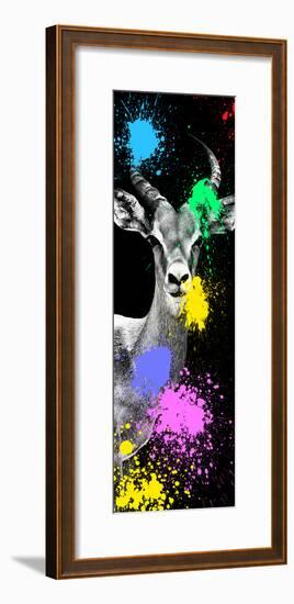 Safari Colors Pop Collection - Antelope Impala Portrait III-Philippe Hugonnard-Framed Giclee Print