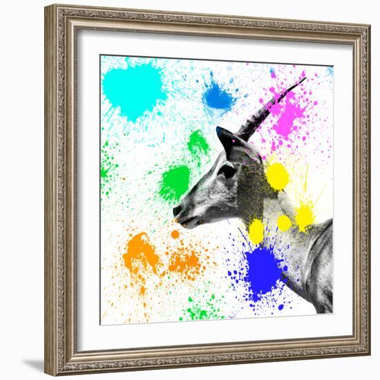 Safari Colors Pop Collection - Antelope IV-Philippe Hugonnard-Framed Giclee Print