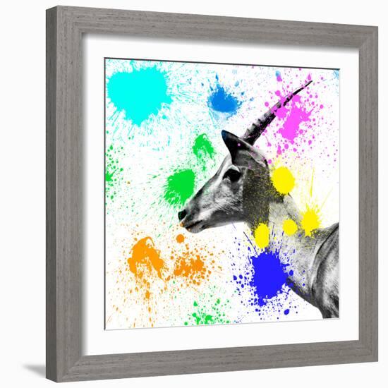 Safari Colors Pop Collection - Antelope IV-Philippe Hugonnard-Framed Giclee Print