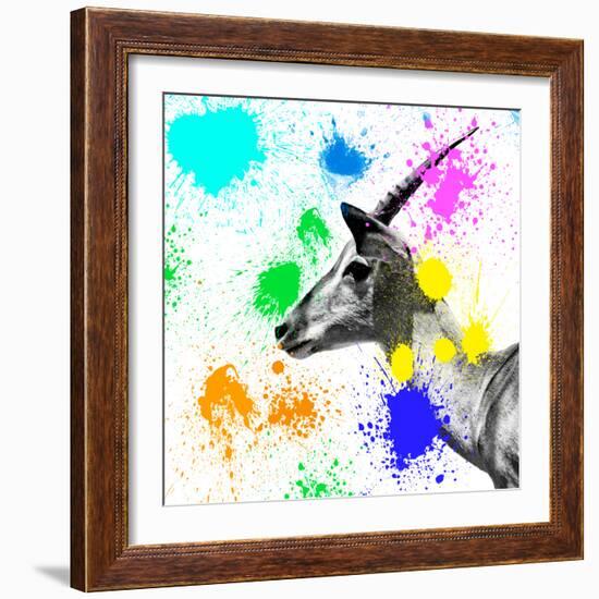 Safari Colors Pop Collection - Antelope IV-Philippe Hugonnard-Framed Giclee Print