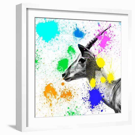 Safari Colors Pop Collection - Antelope IV-Philippe Hugonnard-Framed Giclee Print