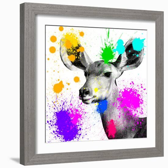 Safari Colors Pop Collection - Antelope Portrait II-Philippe Hugonnard-Framed Giclee Print