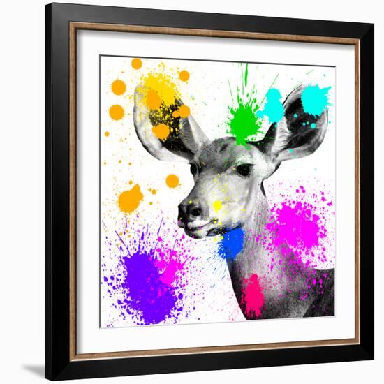 Safari Colors Pop Collection - Antelope Portrait II-Philippe Hugonnard-Framed Giclee Print