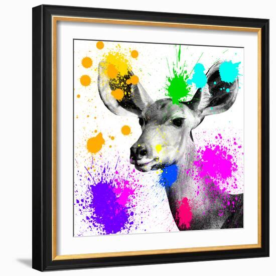 Safari Colors Pop Collection - Antelope Portrait II-Philippe Hugonnard-Framed Giclee Print