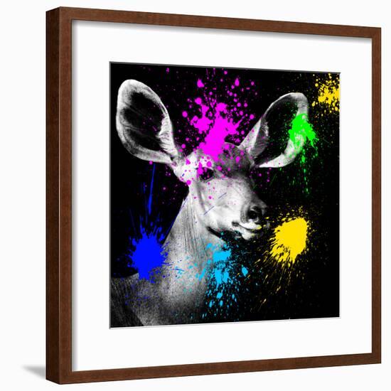 Safari Colors Pop Collection - Antelope Portrait IV-Philippe Hugonnard-Framed Giclee Print