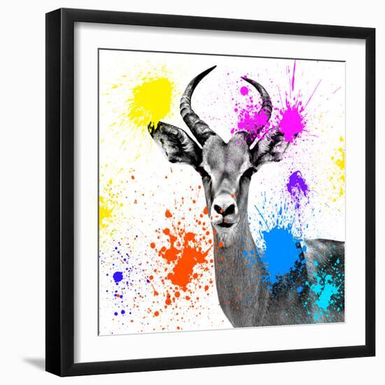 Safari Colors Pop Collection - Antelope Reedbuck III-Philippe Hugonnard-Framed Giclee Print