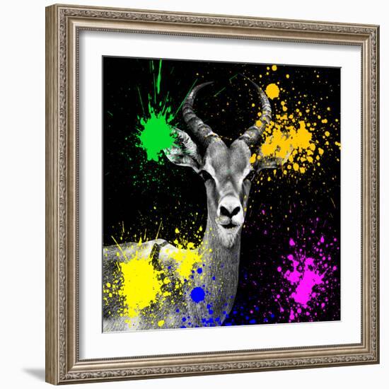 Safari Colors Pop Collection - Antelope Reedbuck IV-Philippe Hugonnard-Framed Giclee Print