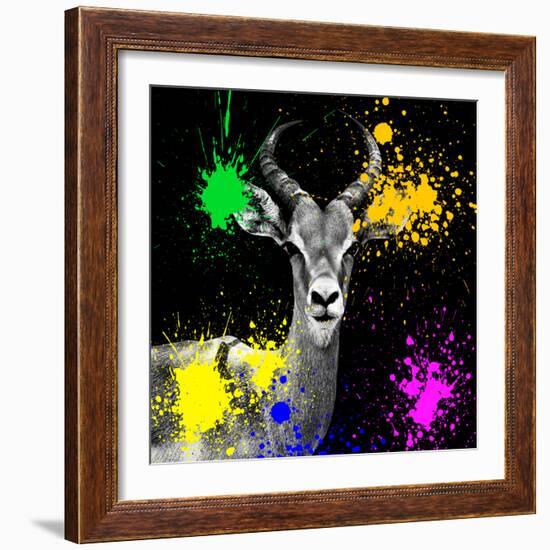 Safari Colors Pop Collection - Antelope Reedbuck IV-Philippe Hugonnard-Framed Giclee Print