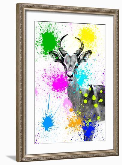 Safari Colors Pop Collection - Antelope Reedbuck V-Philippe Hugonnard-Framed Giclee Print