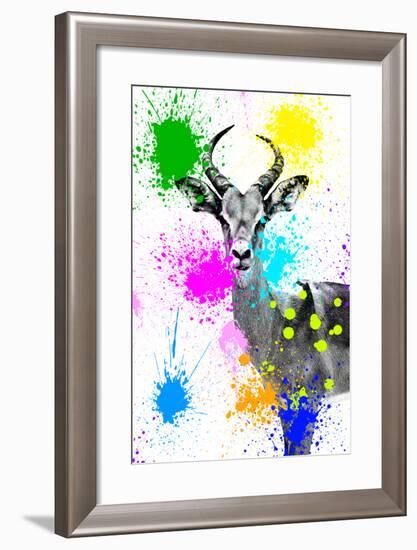 Safari Colors Pop Collection - Antelope Reedbuck V-Philippe Hugonnard-Framed Giclee Print