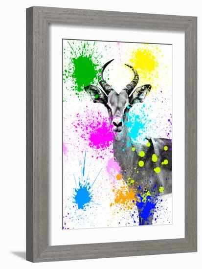 Safari Colors Pop Collection - Antelope Reedbuck V-Philippe Hugonnard-Framed Giclee Print