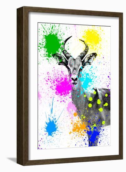 Safari Colors Pop Collection - Antelope Reedbuck V-Philippe Hugonnard-Framed Giclee Print