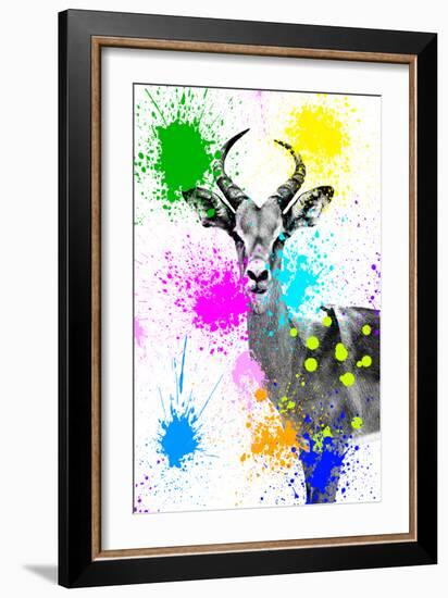 Safari Colors Pop Collection - Antelope Reedbuck V-Philippe Hugonnard-Framed Giclee Print