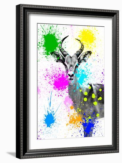 Safari Colors Pop Collection - Antelope Reedbuck V-Philippe Hugonnard-Framed Giclee Print