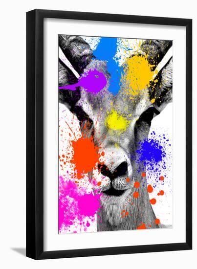 Safari Colors Pop Collection - Antelope Reedbuck-Philippe Hugonnard-Framed Giclee Print