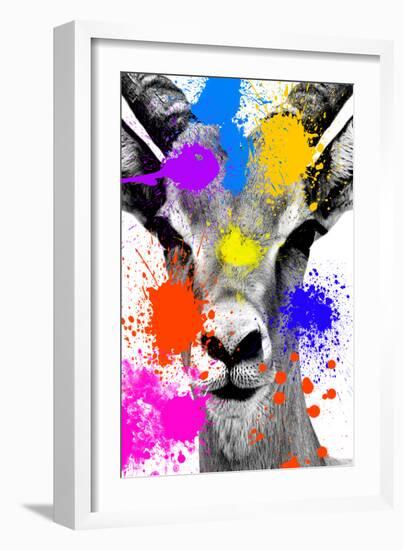 Safari Colors Pop Collection - Antelope Reedbuck-Philippe Hugonnard-Framed Giclee Print