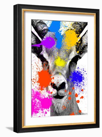 Safari Colors Pop Collection - Antelope Reedbuck-Philippe Hugonnard-Framed Giclee Print