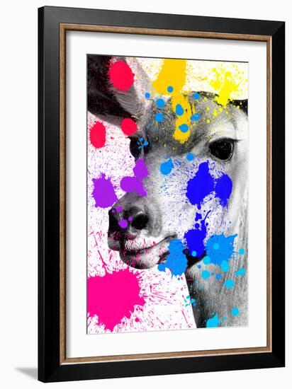 Safari Colors Pop Collection - Antelope-Philippe Hugonnard-Framed Giclee Print