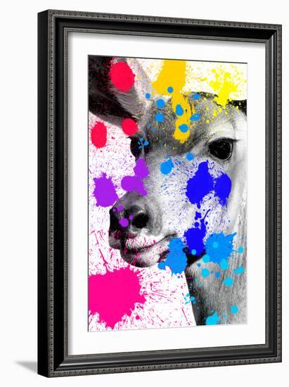 Safari Colors Pop Collection - Antelope-Philippe Hugonnard-Framed Giclee Print