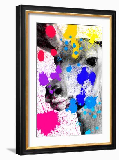 Safari Colors Pop Collection - Antelope-Philippe Hugonnard-Framed Giclee Print