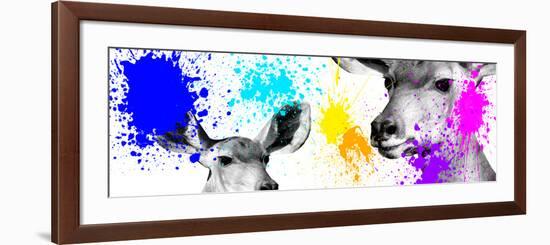 Safari Colors Pop Collection - Antelopes II-Philippe Hugonnard-Framed Giclee Print