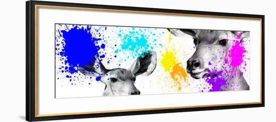 Safari Colors Pop Collection - Antelopes II-Philippe Hugonnard-Framed Giclee Print