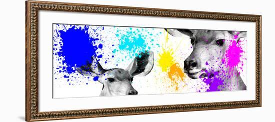 Safari Colors Pop Collection - Antelopes II-Philippe Hugonnard-Framed Giclee Print