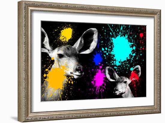 Safari Colors Pop Collection - Antelopes Portrait II-Philippe Hugonnard-Framed Giclee Print