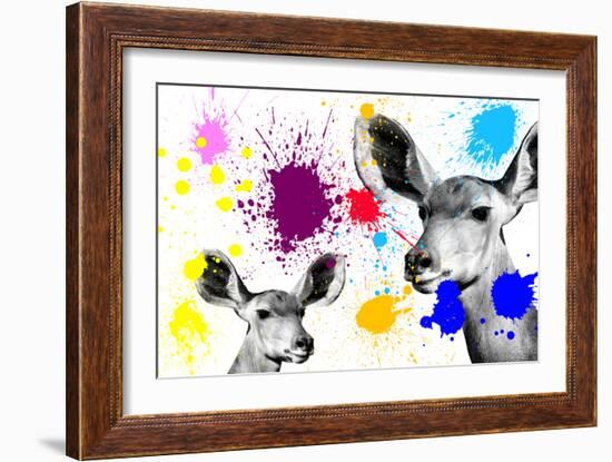 Safari Colors Pop Collection - Antelopes Portrait III-Philippe Hugonnard-Framed Giclee Print