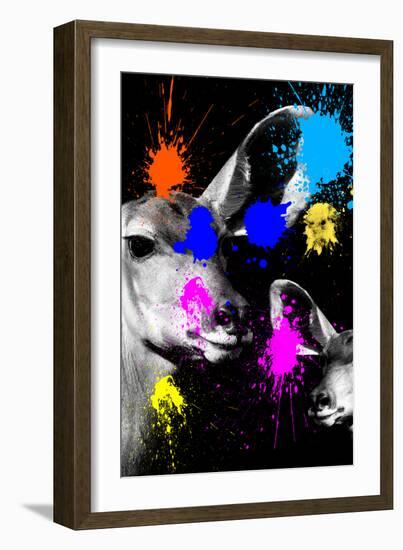 Safari Colors Pop Collection - Antelopes Portrait-Philippe Hugonnard-Framed Giclee Print