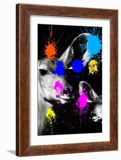 Safari Colors Pop Collection - Antelopes Portrait-Philippe Hugonnard-Framed Giclee Print