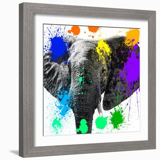 Safari Colors Pop Collection - Elephant II-Philippe Hugonnard-Framed Giclee Print