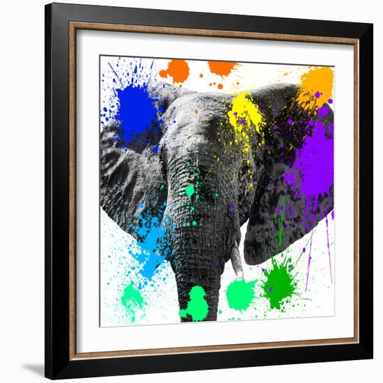 Safari Colors Pop Collection - Elephant II-Philippe Hugonnard-Framed Giclee Print