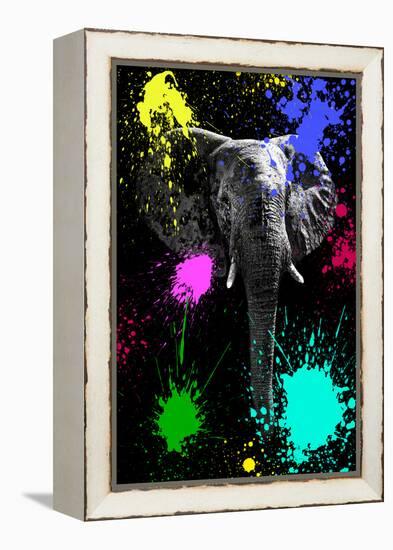 Safari Colors Pop Collection - Elephant V-Philippe Hugonnard-Framed Premier Image Canvas