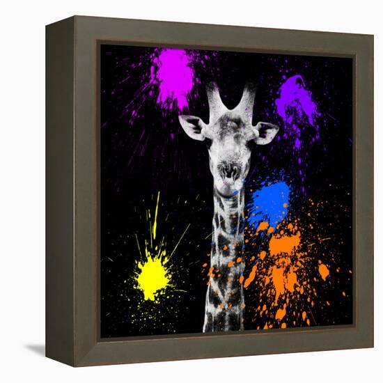 Safari Colors Pop Collection - Giraffe Portrait-Philippe Hugonnard-Framed Premier Image Canvas