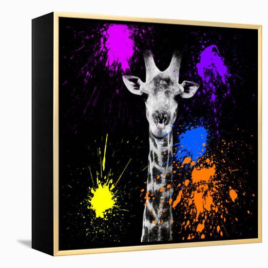 Safari Colors Pop Collection - Giraffe Portrait-Philippe Hugonnard-Framed Premier Image Canvas