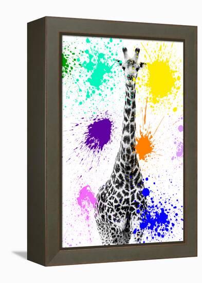 Safari Colors Pop Collection - Giraffe VIII-Philippe Hugonnard-Framed Premier Image Canvas