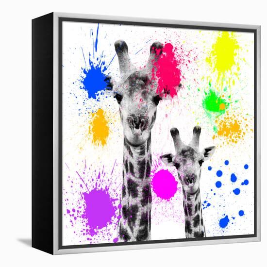 Safari Colors Pop Collection - Giraffes Portrait V-Philippe Hugonnard-Framed Premier Image Canvas