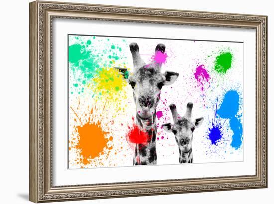 Safari Colors Pop Collection - Giraffes Portrait-Philippe Hugonnard-Framed Premium Giclee Print