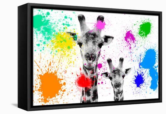 Safari Colors Pop Collection - Giraffes Portrait-Philippe Hugonnard-Framed Premier Image Canvas