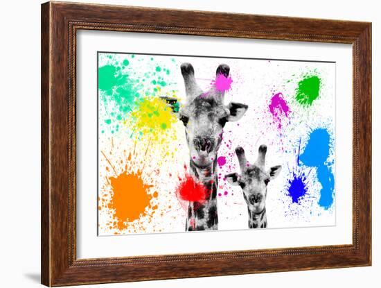 Safari Colors Pop Collection - Giraffes Portrait-Philippe Hugonnard-Framed Giclee Print